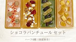 ショコラパンチュール ハーフ4種（春夏秋冬）セット チョコレート チョコ スイーツ デザート 高級 ギフト 贈り物 お礼 プレゼント 手土産 お菓子 [DJ40-NT]