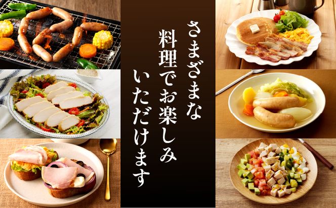 宮崎県産肉加工品バラエティセットA（合計1.27ｋｇ9種類）_M009-011