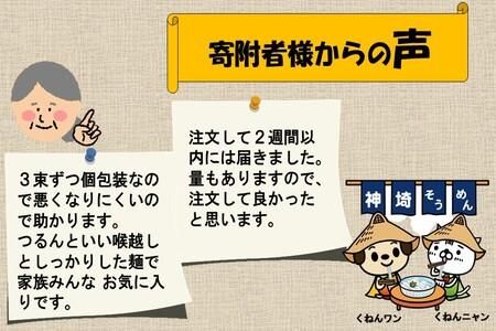 佐賀県特産品 神埼そうめん 10入 【素麺 そうめん 乾麺 お中元 贈答用 無添加 夏 自家用 麺類 簡単 手軽 保存食 佐賀県産 国産】(H014144)
