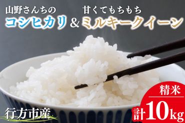 BR-11　【令和5年産】山野さんちのコシヒカリ5kg(精米)＆甘くてもちもちミルキークイーン5kg(精米)