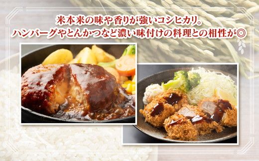 【令和7年度米】富山県 うおづ産米「コシヒカリ」15kg（5kg×3袋）（精米）｜こしひかり こめ コメ お米 おこめ 白米 精米 雪解け水 香り うまみ あまみ 冷めても 美味しい おにぎり お弁当 高品質 魚津市 ※北海道・沖縄・離島への配送不可 ※2025年10月上旬～2026年8月下旬頃に順次発送予定