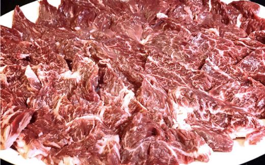 【6回定期便】長崎牛 サガリ 肉 600g 西京噌漬け / 南島原市 / はなぶさ [SCN074]
