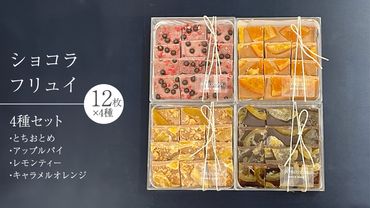 ショコラ フリュイ 4種セット（ とちおとめ 、 アップルパイ 、 レモンティー 、 キャラメル オレンジ ） チョコレート チョコ スイーツ デザート 高級 ギフト 贈り物 お礼 プレゼント 手土産 お菓子 [DJ61-NT]