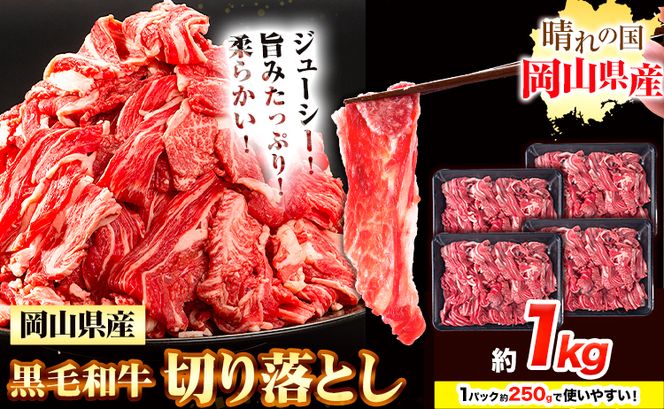 牛肉 黒毛和牛 切り落とし 1kg《30日以内に出荷予定(土日祝除く)》 岡山県 浅口市 牛 牛肉 和牛 牛丼 カレー 小分け 小分けパック 250g 送料無料 ---124_f655_30d_24_13000_10---