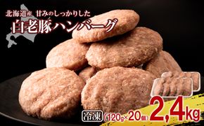 北海道産 白老豚 ハンバーグ 120ｇ×20個セット BV003