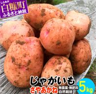 じゃがいも（さやあかね）無農薬・無肥料・自然栽培・北海道産【5kg】