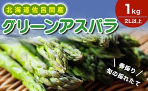 【春採り】 グリーンアスパラ 1kg（2L以上）旬の採れたて 北海道 佐呂間産（2025年4月出荷開始先行予約） SRMM033