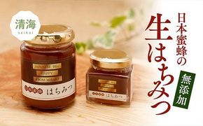 ハチミツ 日本蜜蜂はちみつセットA（はちみつ（大）160g×1本、はちみつ（小）50g×1本） ｜ ハチミツ パン 非加熱 無添加 愛媛