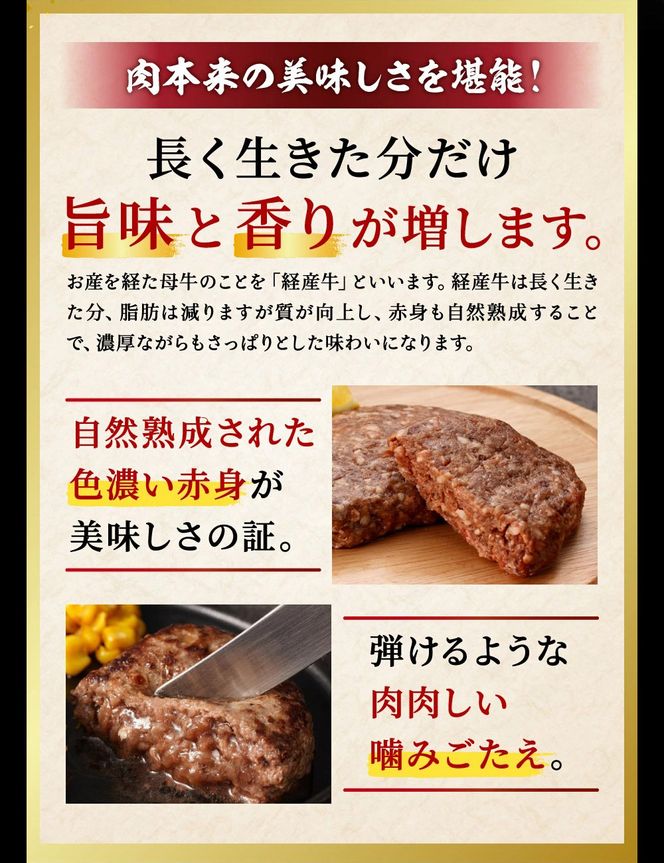 010AA09N.但馬牛経産牛ハンバーグ（150g×5個）但馬牛 牛肉 100%