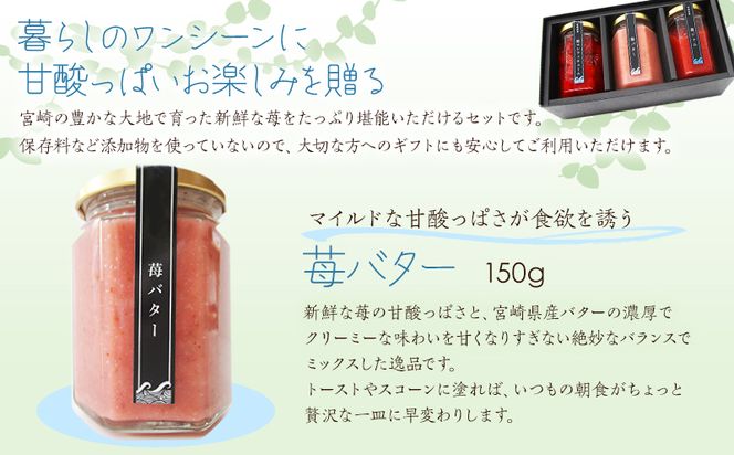 宮崎県産 波乗り苺のギフトセット 3種_M255-001