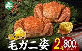 3357. 毛蟹 2尾 計800g前後 食べ方ガイド・専用ハサミ付 カニ かに 蟹 海鮮 ボイル 送料無料 北海道 弟子屈町