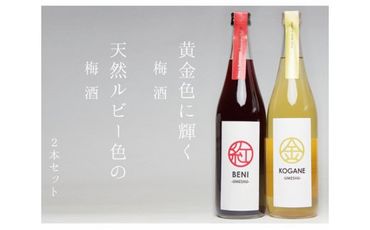 No.230 梅酒「KOGANE」「BENI」720ml　2本セット ／ お酒 うめ酒 芳醇 群馬県