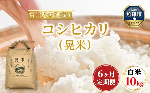 6ヶ月定期便「魚津のコシヒカリ（晃米）」10kg（白米）環境配慮おこめ 富山県魚津市 MK農産