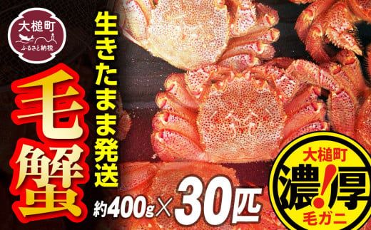 【令和7年発送】三陸産！活毛ガニセット 400g×30杯【2025年2月〜4月発送】【配送日指定不可】【0tsuchi01014-24-3】【08】