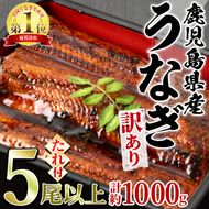 ※使用不可【0294304a】＜訳あり＞東串良町のうなぎ蒲焼(無頭)(5-7尾・計約1kg・タレ、山椒付)うなぎ 高級 ウナギ 鰻 国産 蒲焼 蒲焼き たれ 鹿児島 ふるさと 人気【アクアおおすみ】