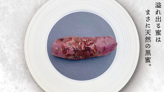 【 先行予約 2025年1月以降発送 】 oimo_tokyo 熟成 焼き芋 八千代町産 紅はるか 4本 ～ 5本 冷蔵 冷やし やきいも 食物繊維 さつまいも 美容 健康 スイーツ おやつ 小分け 茨城県産 [BY001ya]