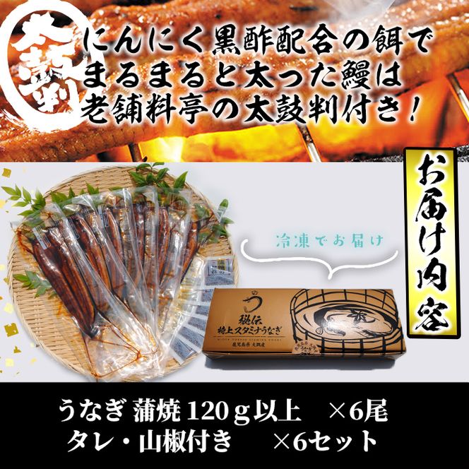 【数量限定】鹿児島県産！秘伝のスタミナうなぎ蒲焼き＜計6尾・計720g以上＞c9-008