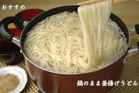 ふっくらモチモチ神埼生うどん 10袋入 【麺 うどん 生うどん 釜揚げうどん】(H014125)