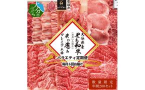 【A01081】【数量限定定期便】大分県産黒毛和牛（おおいた和牛） ・米の恵みプレミアム豚 バラエティ定期便 毎月6回お届け