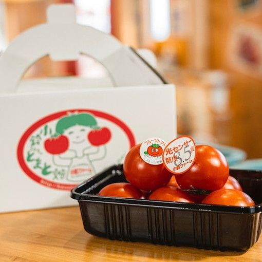 とまとの王子さま＆フルーツトマト糖度8.5度　計約2kg ※2026年1月上旬～4月下旬頃に順次発送予定◆