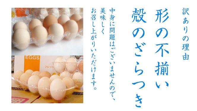 【 訳あり・規格外 】 鶏卵 30粒 ( 26粒 + 破損補償分 4粒) 卵 たまご 鶏 養鶏場直送　新鮮　訳アリ　規格外　お得 ふるさと納税 5000円 [CZ005ya] 