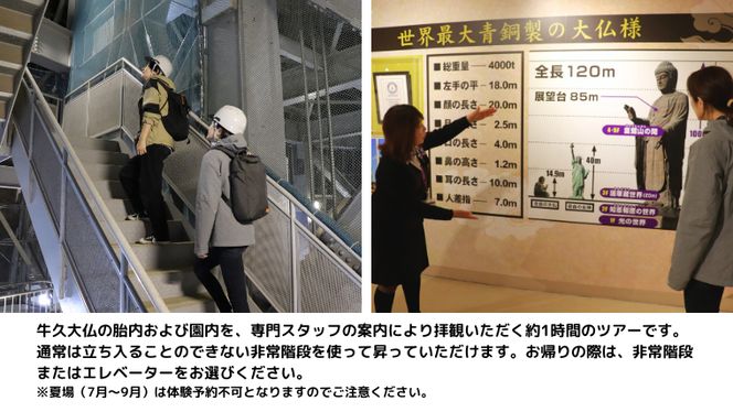《 案内付き 》 非常階段で登る 牛久大仏 胎内 拝観 ツアー ※ 平日限定 ※ （ 5名様まで ） 貸切 体験 参加券 体験チケット 観光 [DR002us]