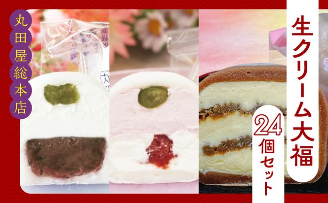 生クリーム大福24個セット   ANQ014