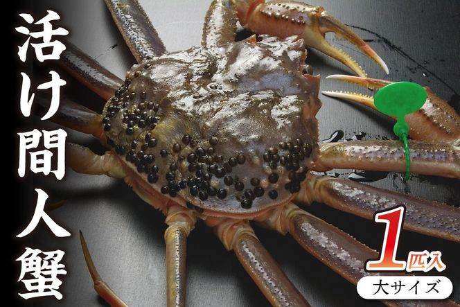 ys{OszOsY ԐlI yIz TCY@taizakani900@SS00109