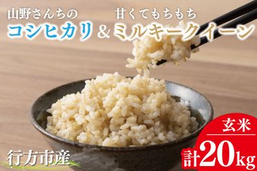 BR-14　【令和5年産】山野さんちのコシヒカリ10kg(玄米)＆甘くてもちもちミルキークイーン10kg(玄米)