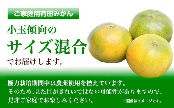 ＜先行予約＞家庭用 極早生有田 みかん 3kg+90g（傷み補償分）【 YN26・ゆら早生 】【わけあり・訳あり】池田鹿蔵農園（池田農園株式会社）《2024年9月中旬-11月中旬頃出荷》和歌山県 日高町 みかん 有田みかん 完熟 厳選【配送不可地域あり】---wsh_idn41_9c11c_24_7000_3kg---