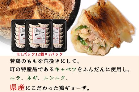 ＜若鶏モモ炭火焼1kg+鶏餃子36個＞入金確認後、翌月末迄に順次出荷【c803_ip_x2】