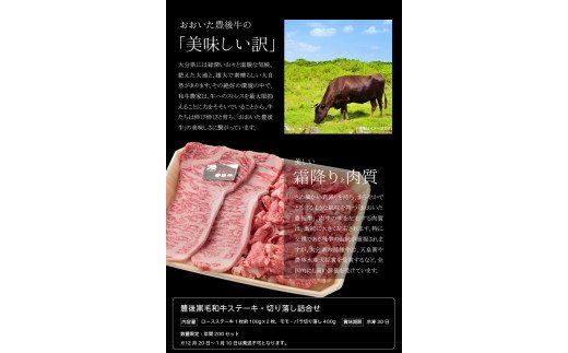 【A01039】 豊後黒毛和牛ステーキ・切り落し詰合せ約600g