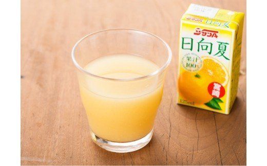 飲料 『サンA日向夏ジュース100%』125ml×24本セット☆ [F3021]