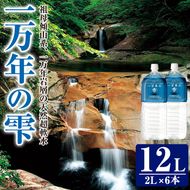 【ふるさと納税】ミネラルウォーター 一万年の雫 軟水 (計12L・2L×6本) 国産 お水 ミネラル 天然 料理 健康 維持 常温 常温保存 大分県 佐伯市 防災【BM77】【 (株)ウェルトップ】