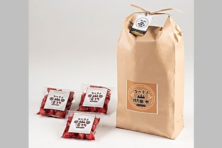 【期間限定・令和7年産米】新潟県村上市岩船産  棚田米コシヒカリ10kg・赤カブ漬け900gセット　C4018 