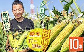 【2025年発送】朝採り直送 メロンより甘い 生とうもろこし“にっこりコーン” 10本　H095-026