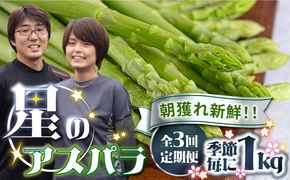 【3回定期便】【星のアスパラ】春・夏・秋 の グリーン アスパラガス 約1kg / アスパラ 野菜 / 南島原市 / ほしのYA[SEY013]