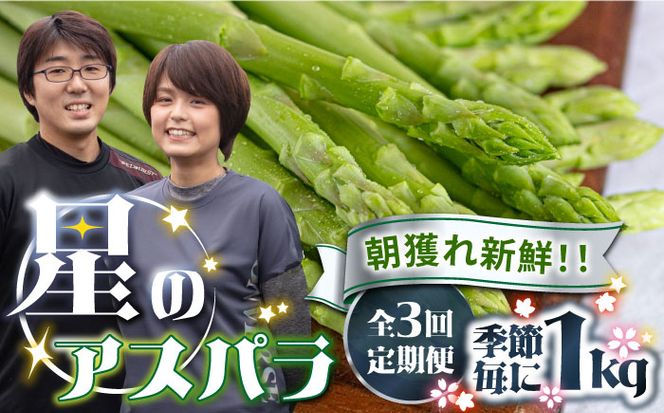 【3回定期便】【星のアスパラ】春・夏・秋 の グリーン アスパラガス 約1kg / アスパラ 野菜 / 南島原市 / ほしのYA[SEY013]