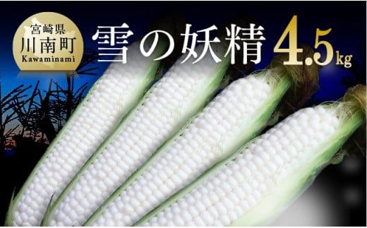 y{茧쒬zyߘa8NzR񂿂̃zCgR[(̗d)4.5kg y s\ ʌ Ԍ 2026N st {茧Y BY z [C07102]