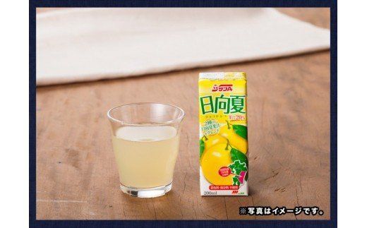 『サンA日向夏ドリンク』200ml×48本セット [F3023]
