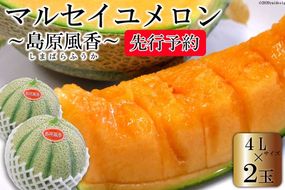 【CF01】CF108【令和8年度出荷分】マルセイユメロン～島原風香～（4L×2玉）[農事組合法人　『舞岳の里』生産組合 長崎県 島原市 CF108] メロン 赤肉 果物 くだもの フルーツ 産地直送