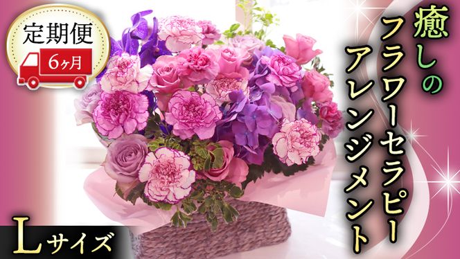 y錧}szy 6  z   t[ Zs[ AWg LTCY   ͂ AW bNX tbV XgX [CT127ci]