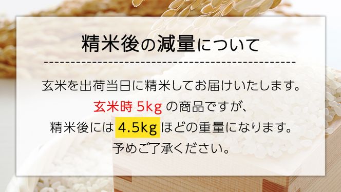 【 定期便 3ヶ月 】 精米日出荷 みずほの村市場牛久店 関さんの こしひかり 4.5kg ( 玄米時 5kg ) 新鮮 米 特別栽培農産物 認定米 令和6年産 [AM041us]