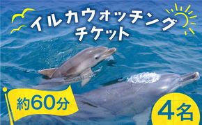 南島原 イルカウォッチング 4人用チケット / イルカ 観光 南島原市 / 南島原イルカウォッチング[SAE002]