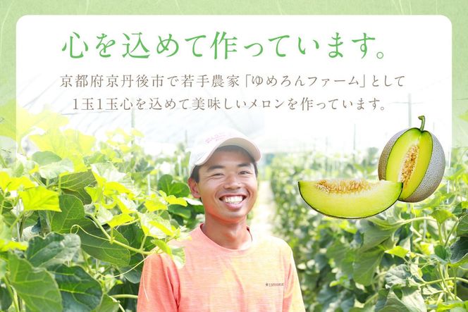 【先行予約／数量限定100】ゆめろんファームの青肉メロン（訳あり品）（2026年6月上旬～発送）　DE00156