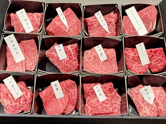 京の肉 ひら山厳選 京都府産 黒毛和牛 希少部位 12種盛 食べ比べセット 計６００ｇ《最高級 A5ランク》（冷蔵）（冷凍）