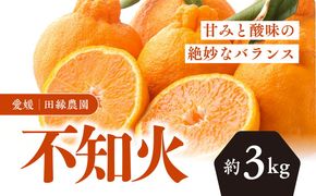 【先行予約】【数量限定】田縁農園の不知火（しらぬい）3kg ｜ 柑橘 みかん ミカン フルーツ 果物 でこぽん デコポンと同品種 愛媛 ※離島への配送不可 ※2025年2月上旬～3月上旬頃に順次発送予定