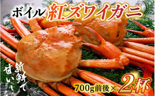 【先行予約】ボイル紅ズワイガニ 大サイズ 冷蔵配送 ※発送前に在宅確認の電話連絡をいたします！【(有)カネツル砂子商店】