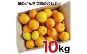 145.訳アリ 旬のかんきつ詰め合わせ 10kg(A145-2)