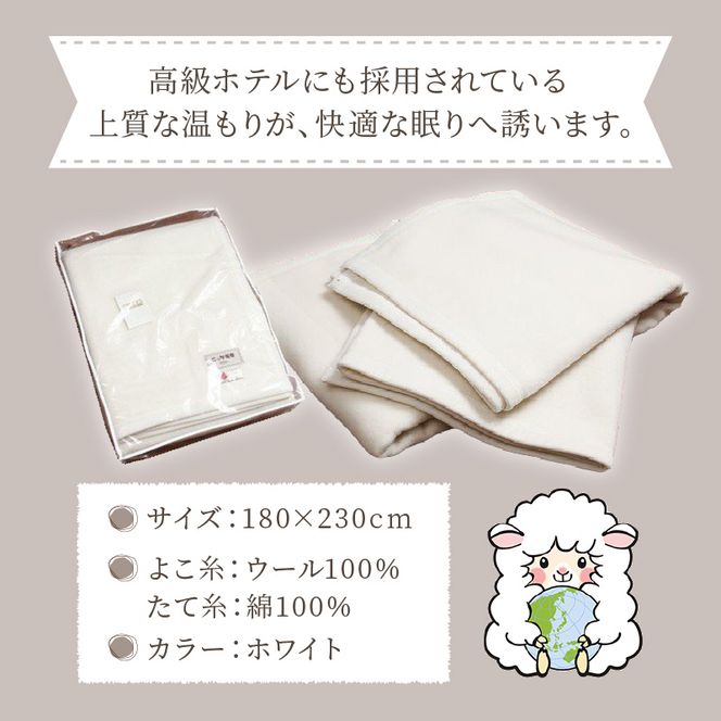 ホテル仕様ウール毛布【2408N05102】